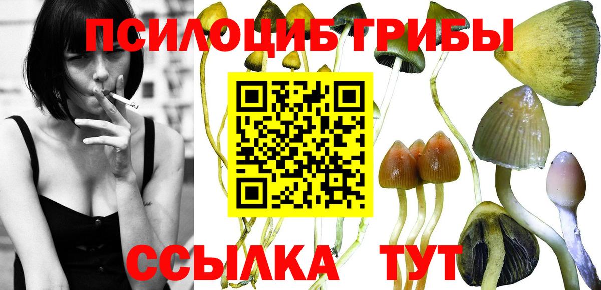 Волоколамск  Псилоцибиновые грибы Magic Shrooms  купить наркоту  Вход с VPN 